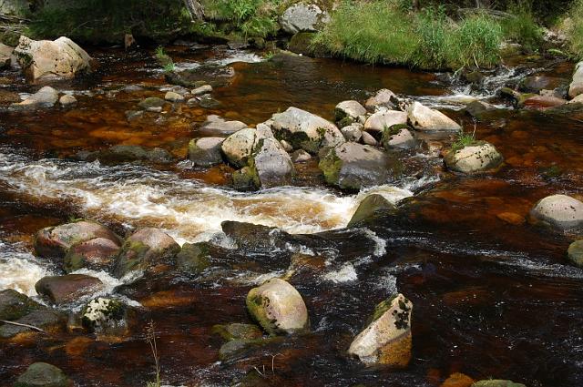 Šumava 2007