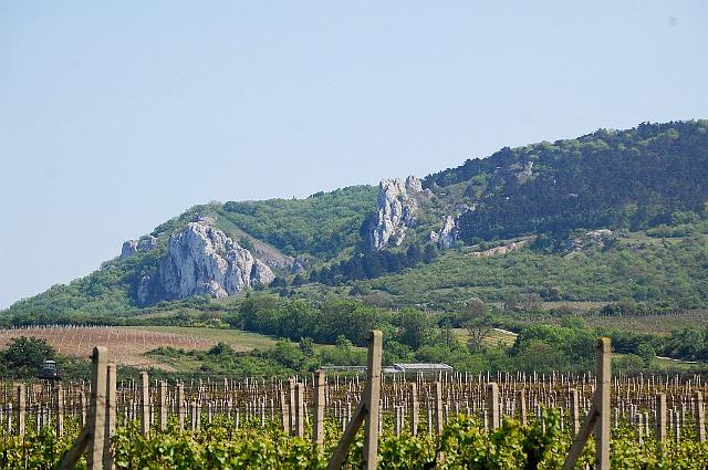 Pálava 2009