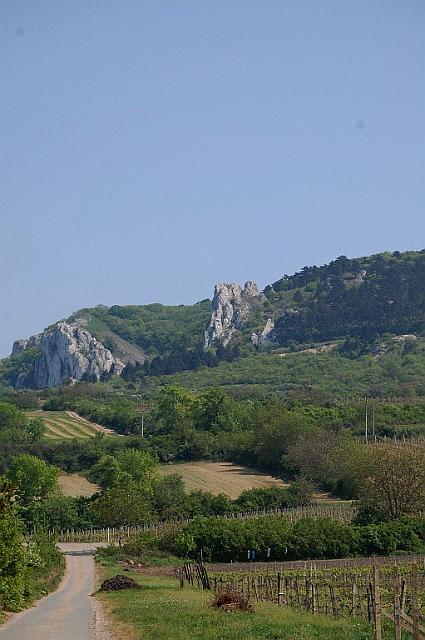 Pálava 2009