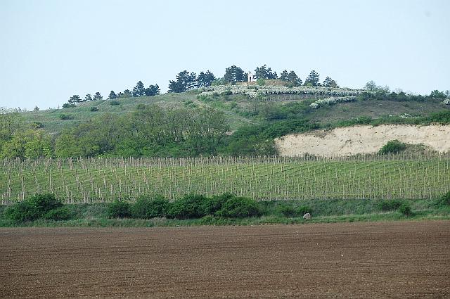 Pálava 2009